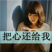 风之大陆果盘版下载